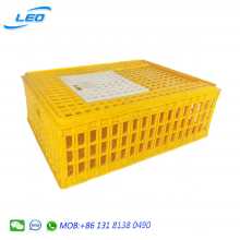 high quality best seller plastic chicken box chicken transport cage  chicken crate